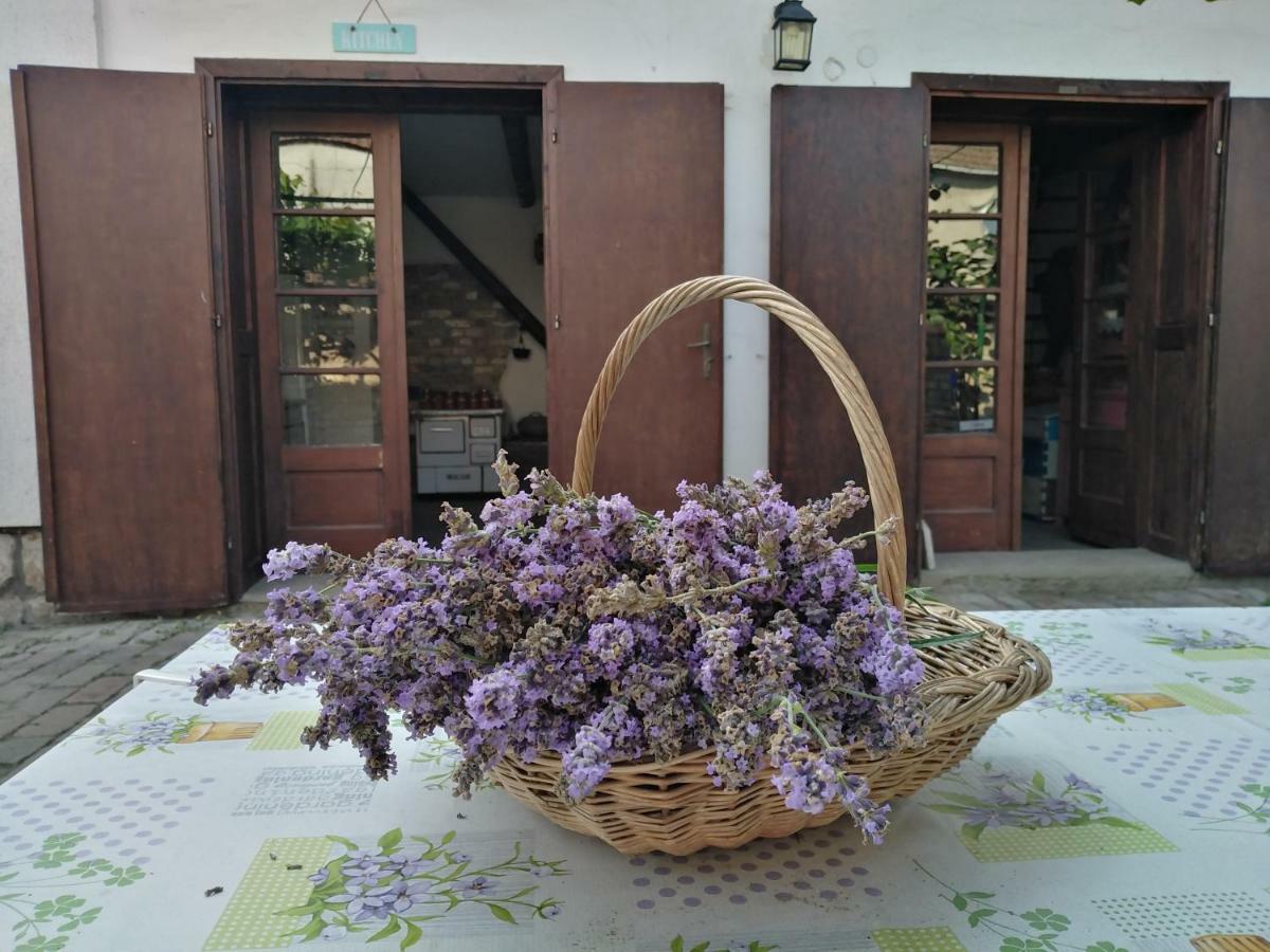 Sobe Gajic Сремски Карловци Екстериор снимка